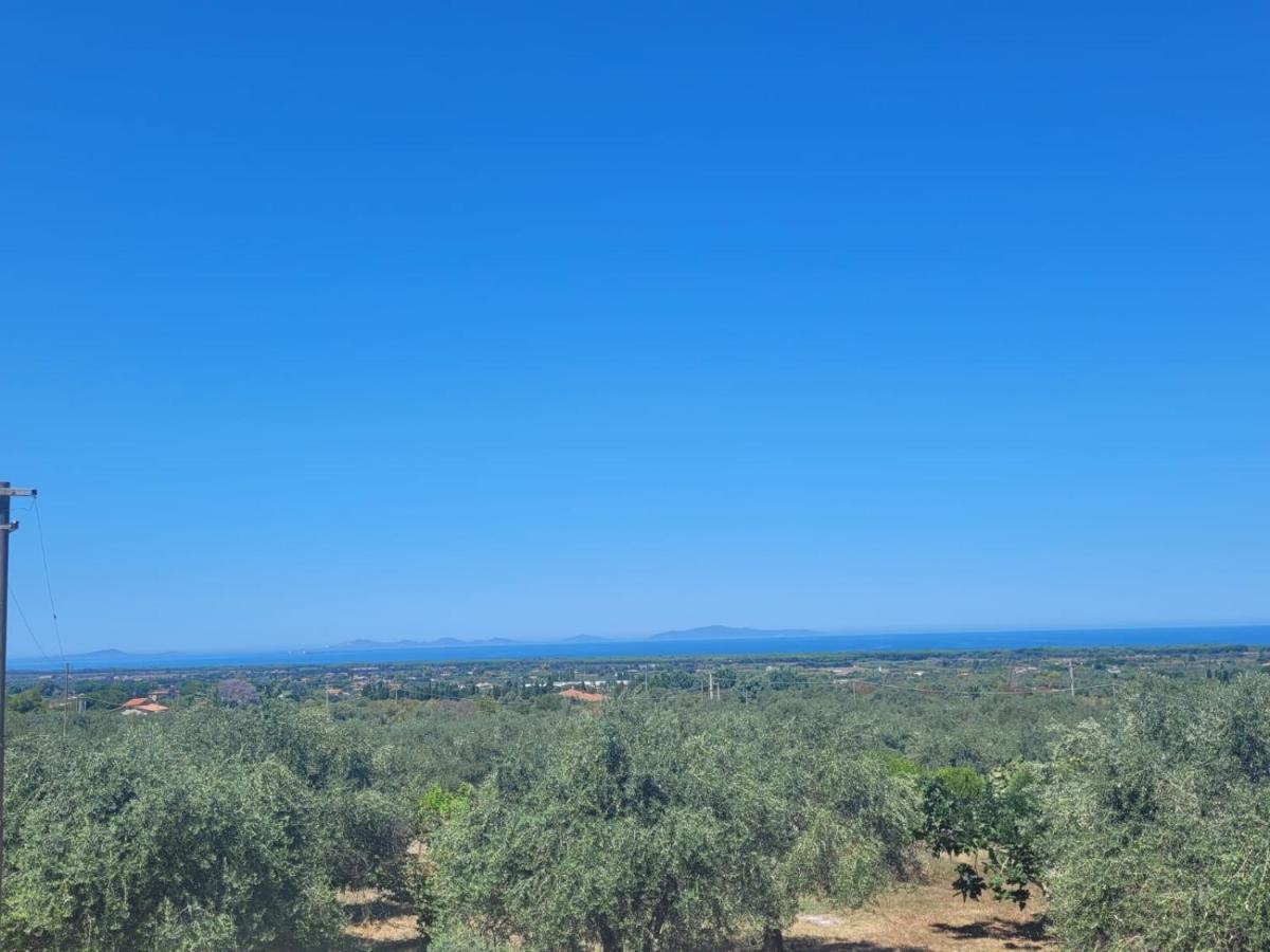 Villa Maddalena Guest House Sorso Εξωτερικό φωτογραφία